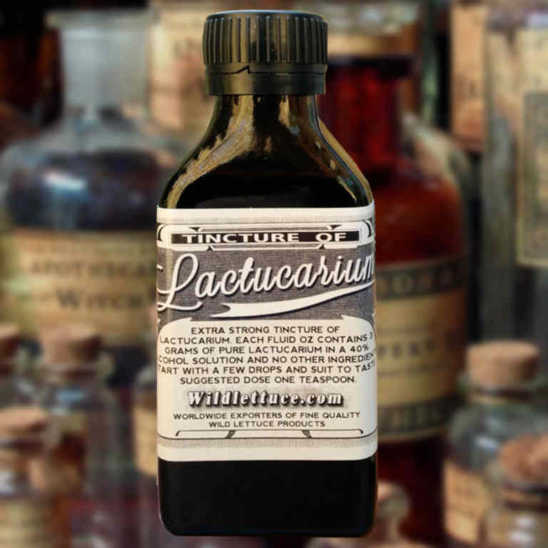 tincture of lactucarium